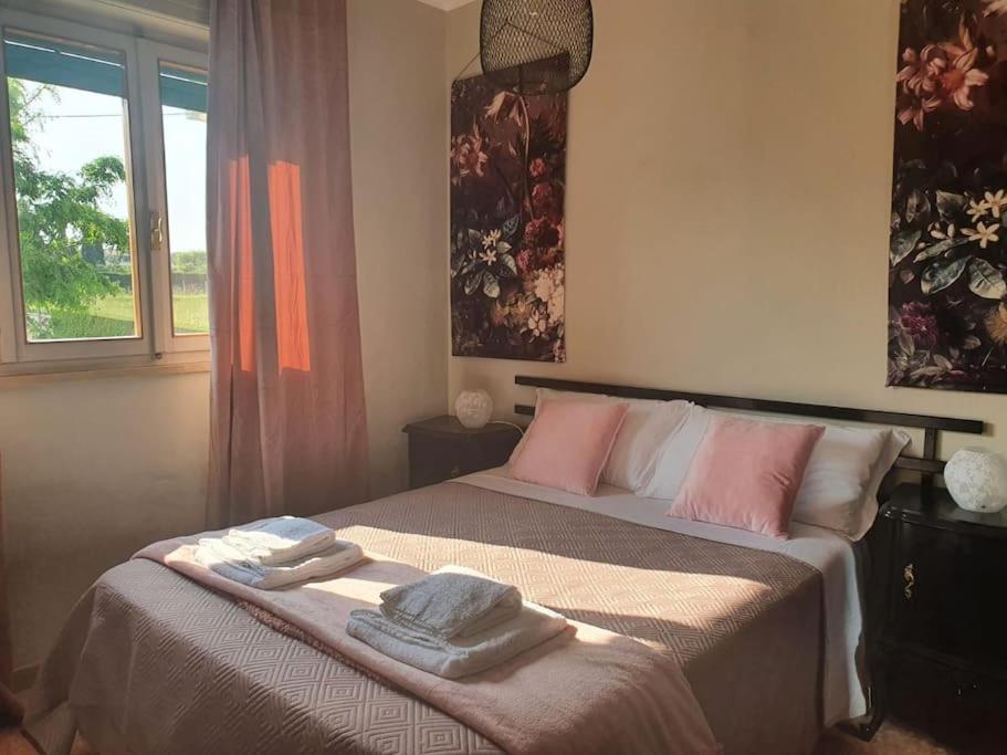 Molo - Residenza Con Accesso Diretto Al Lago Lazise Extérieur photo